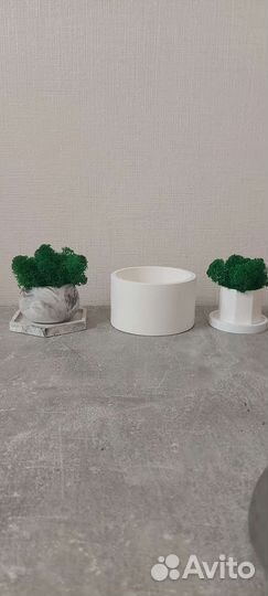 Кашпо со стабилизированным мхом