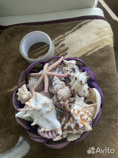 Корзина с ракушками