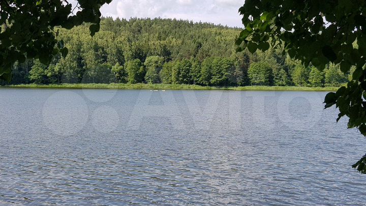 Участок 44 сот. (СНТ, ДНП)