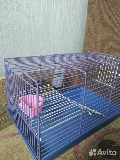 Клетка для грызунов