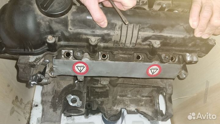 G4F