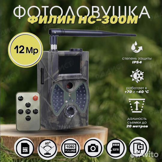 Фотоловушка филин