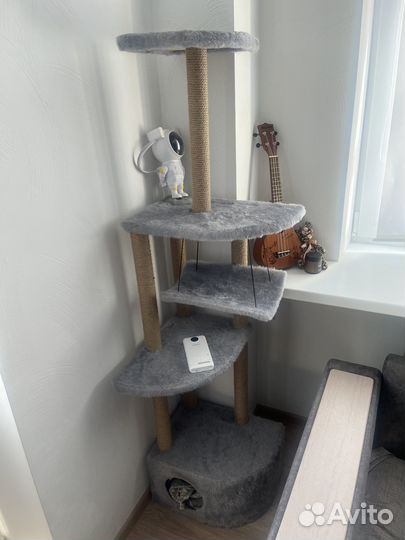 Кошачий домик