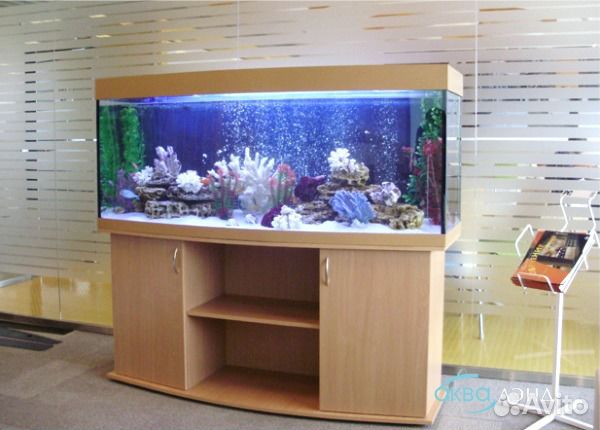 Обслуживание и чистка аквариумов