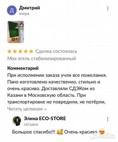 Панно со стабилизированным мхом композиция