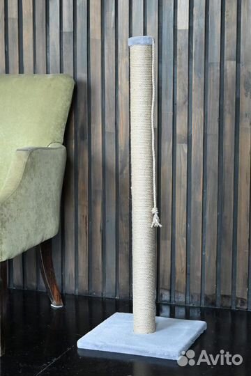 Когтеточка для кошки