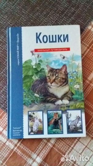 Книга детская