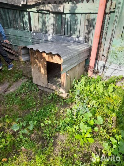 Будка для собаки