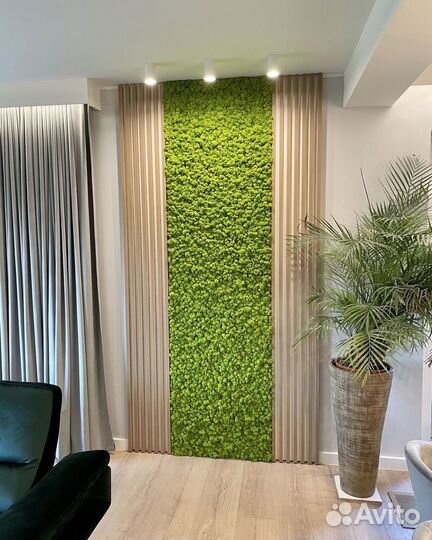 Стены, панно. Стабилизированный мох. Арт196