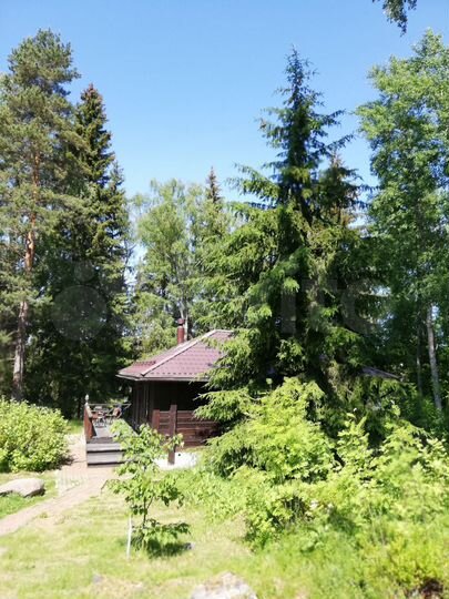 Дом 50 м² на участке 45 сот.