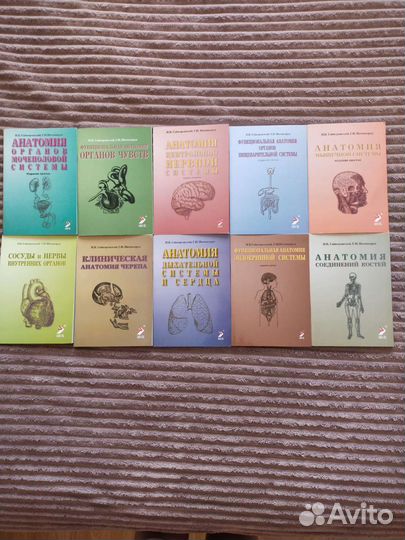 Учебное пособие по анатомии