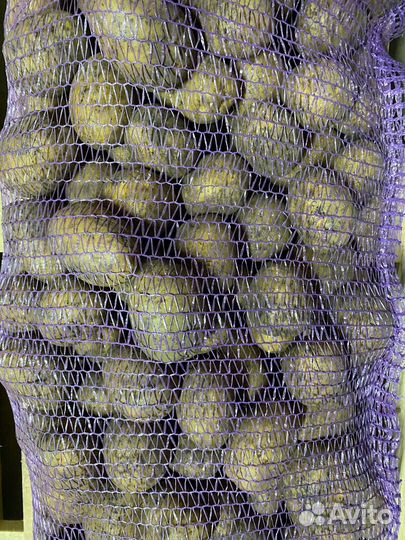 Овощи и фрукты