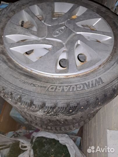 Nexen Winguard WinSpike WH62 185/65 R14 и 175/65 R14