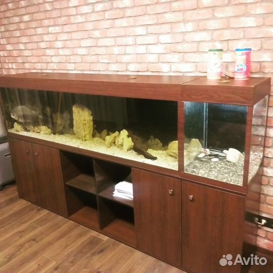 Аквариумы с гарантией