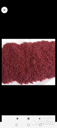 Продам лиманский мотыль