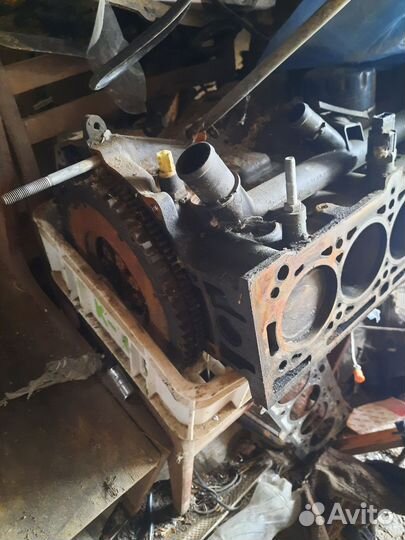 Двигатель на reno fluence