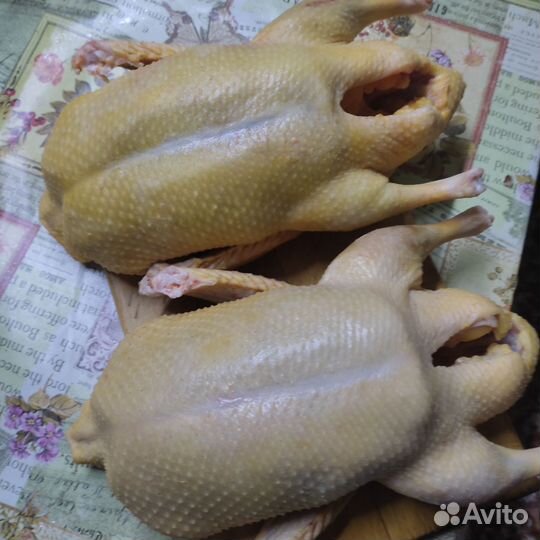 Мясо домашних уток,молодняк,мясо нежное,нежирное