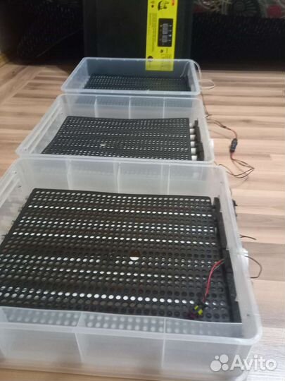 Инкубатор для яиц автоматический бу
