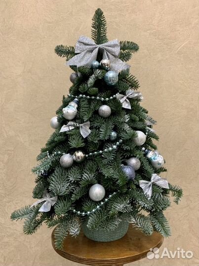 Ëлочки из натуральной хвои (нобилис)