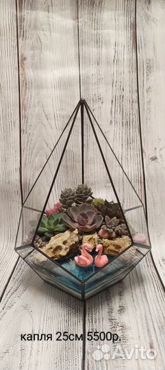 Флорариум подарок