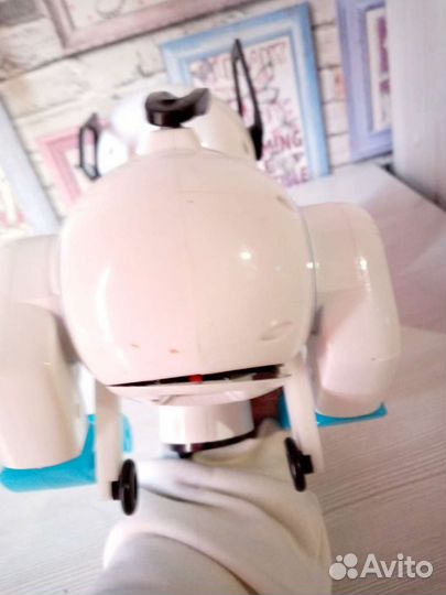 Собака робот