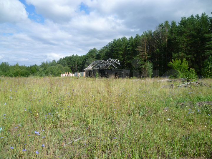 Участок 3,01 га (промназначения)