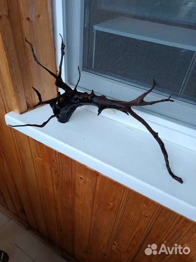 Коряги для аквариума