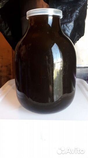 Мед оптом гречка(гречишный) 2023