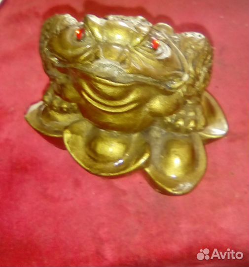 Денежная жаба Фен-шуй