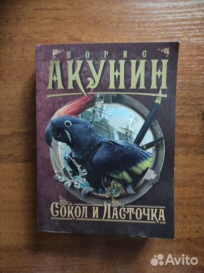 Книги Дина Рубина, Борис Акунин, Евгений Гришковец