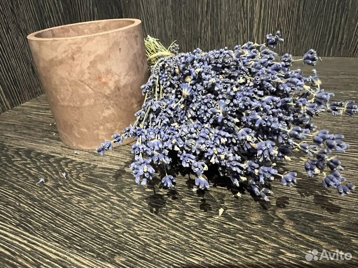 Лаванда сухоцвет