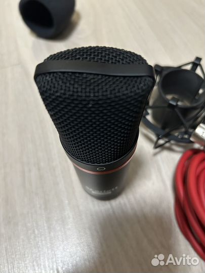Микрофон Focusrite CM25 +паук+xlr