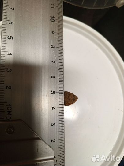 Сухой корм для собак core Wellness