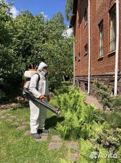 Уничтожение тараканов клопов Обработка от клещей