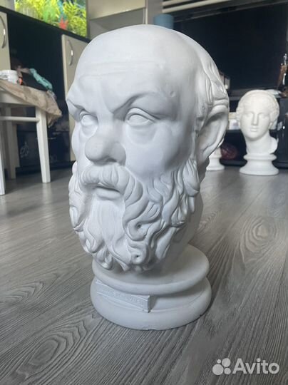 Гипсовый бюст