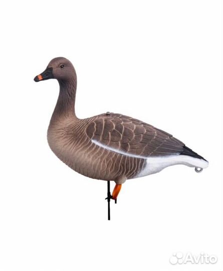 Чучела гуся гуменника комплект GS-3D 10шт