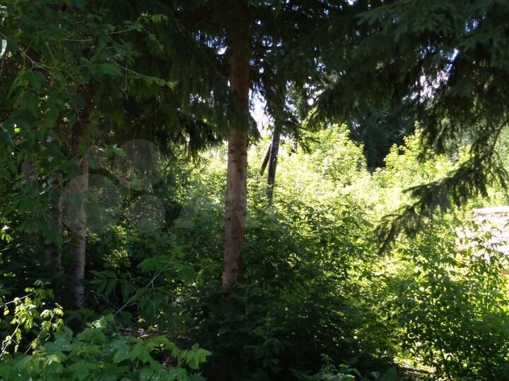 Участок 23 сот. (ИЖС)