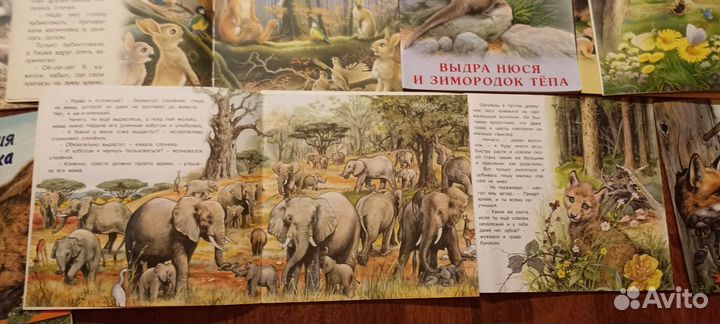 Книги про животных для дошкольного возраста (11шт)