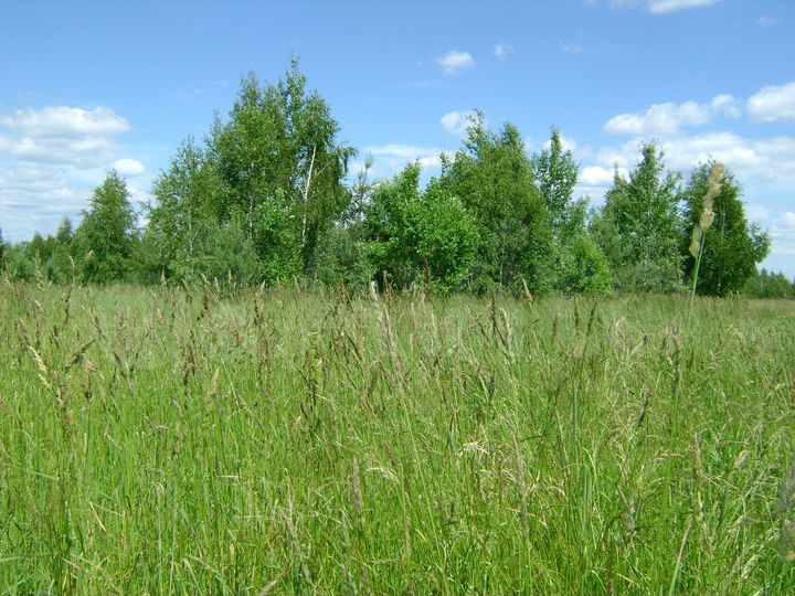 Участок 3,39 га (СНТ, ДНП)