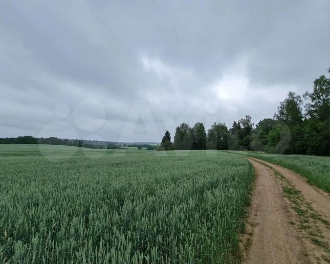 Участок 6 сот. (СНТ, ДНП)