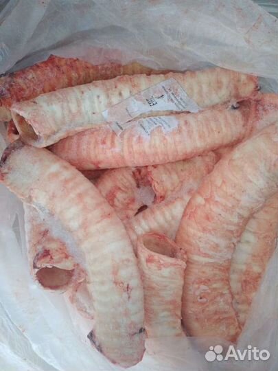 Трахея говяжья на корм и сушку для животных