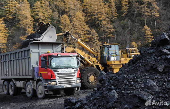 Уголь каменный