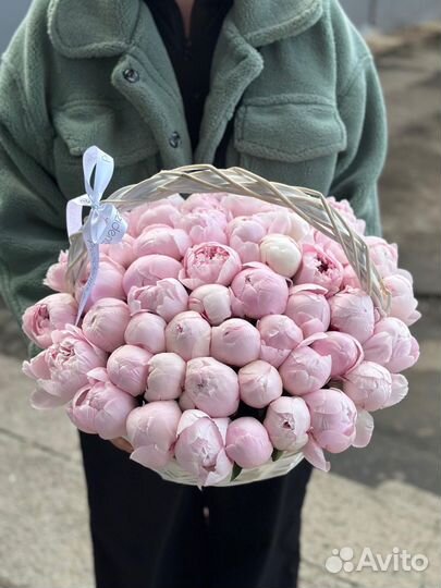 Пионы оптом