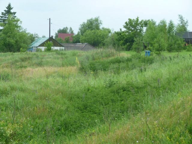 Участок 49 сот. (ИЖС)