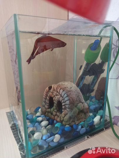 Аквариум квадратный