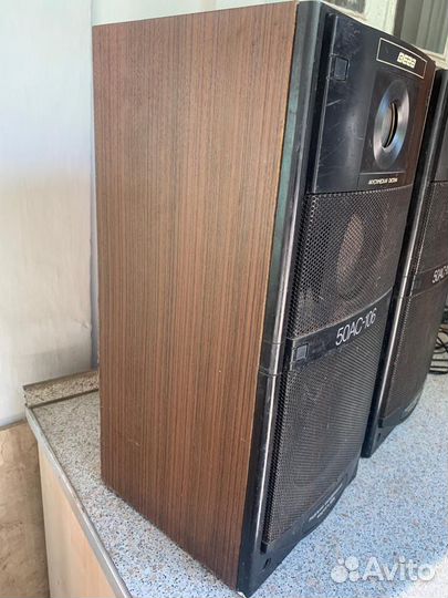 Акустические колонки бу вега