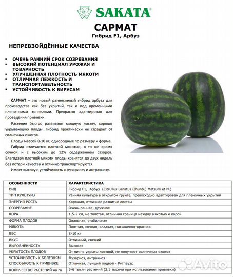 Самена Арбуз Саката Сармат