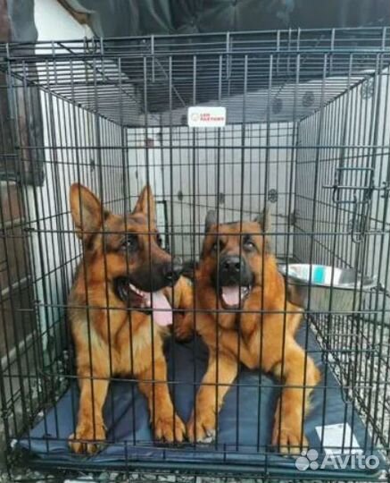 Клетка для больших собак с пластиковым поддоном