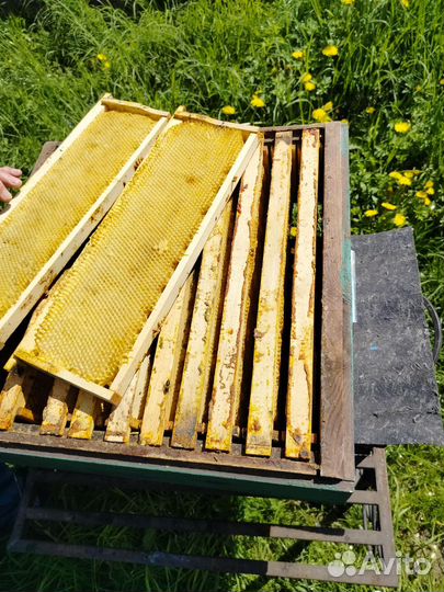 Улий для пчел магазины рамки