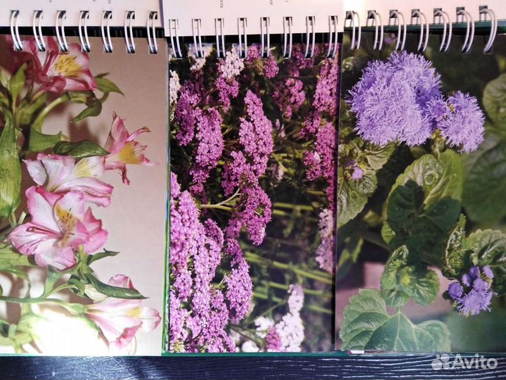 Книга миллион цветов на вашем участке